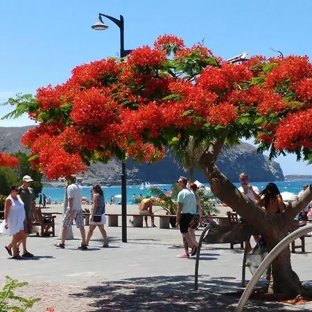 Playa De Cristianos Casa Adriano Prázdninový dům Los Cristianos (Tenerife)